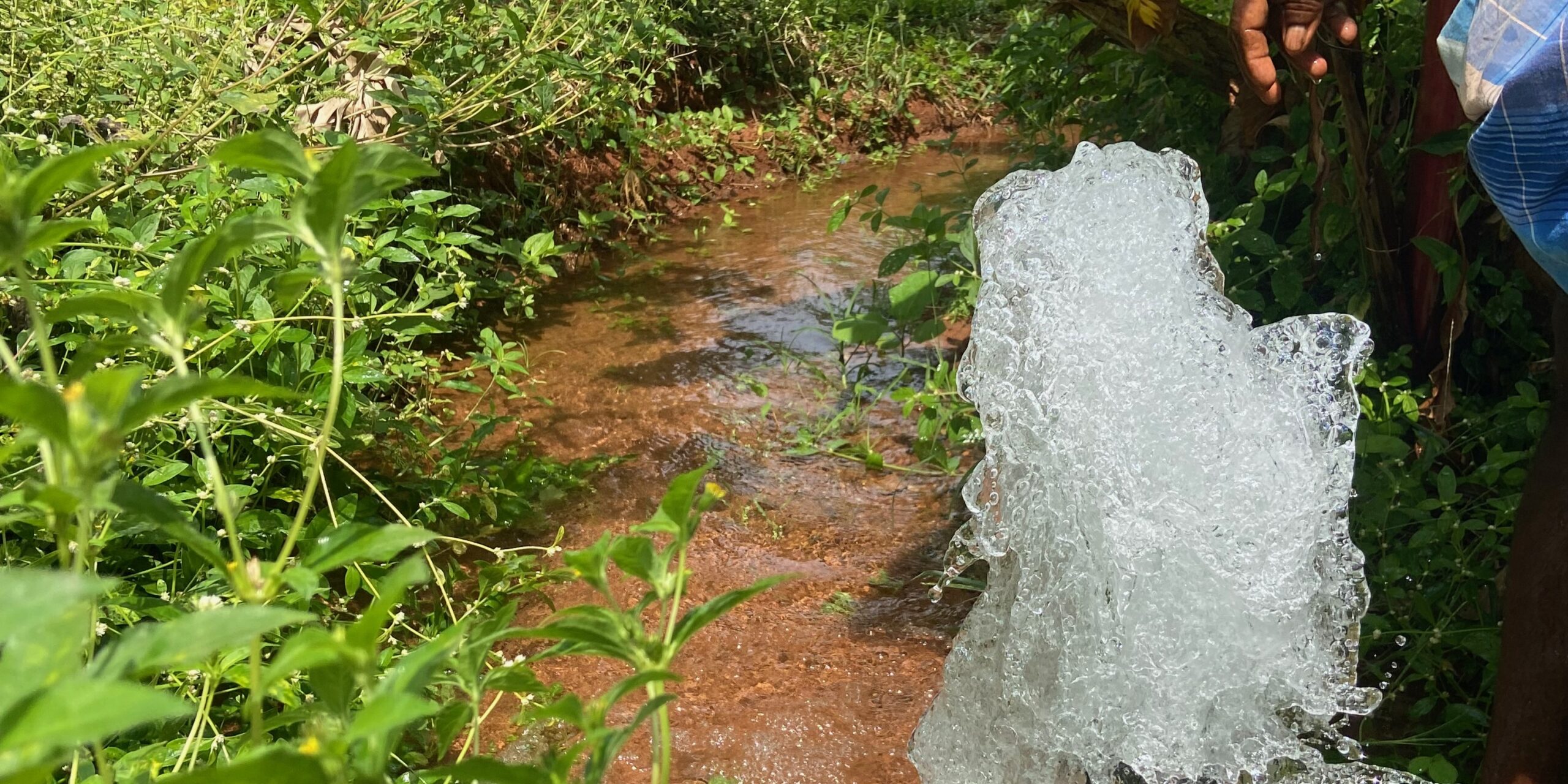 The hydrological cost of growing our food