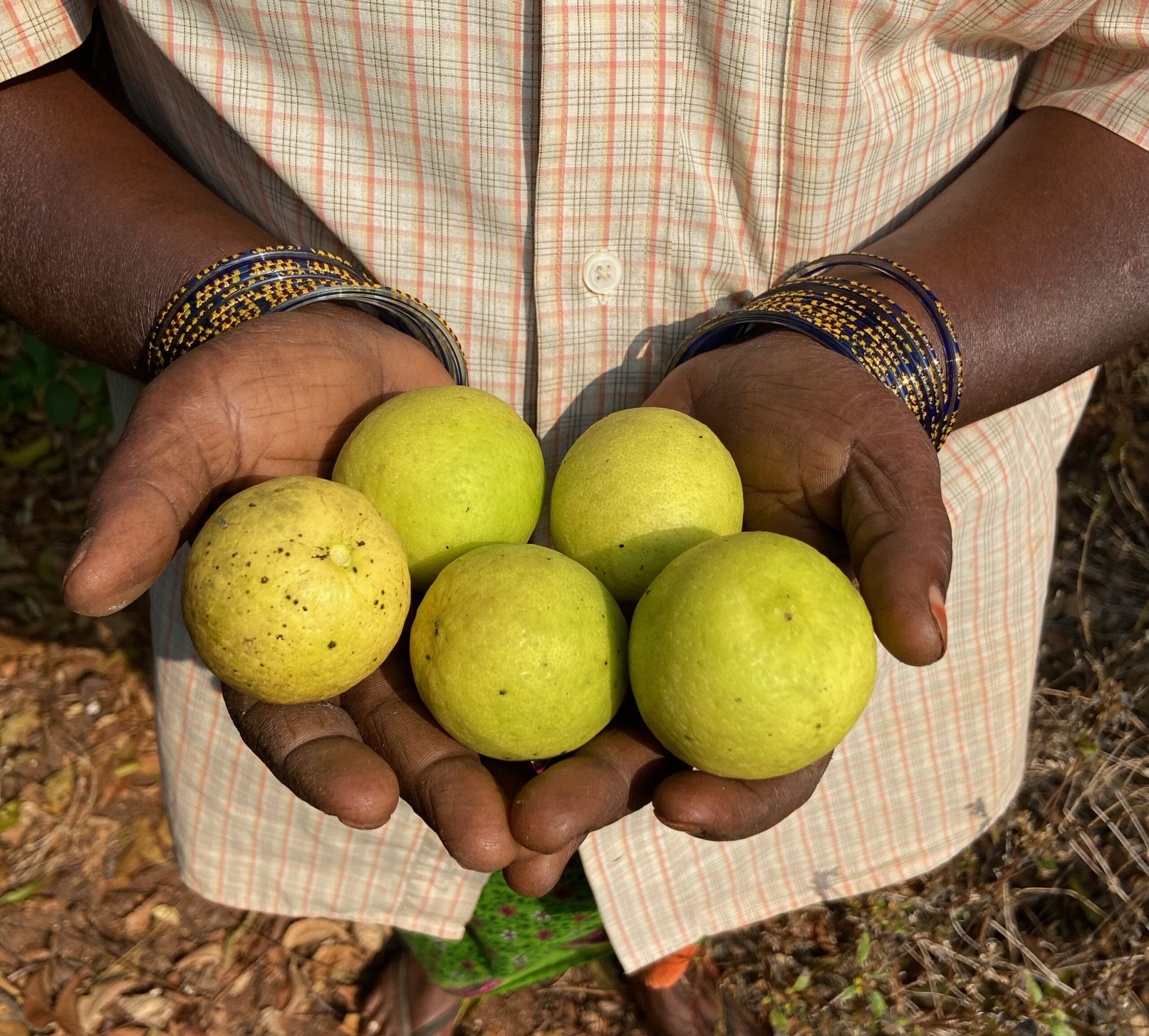 Integral Agriculture_2