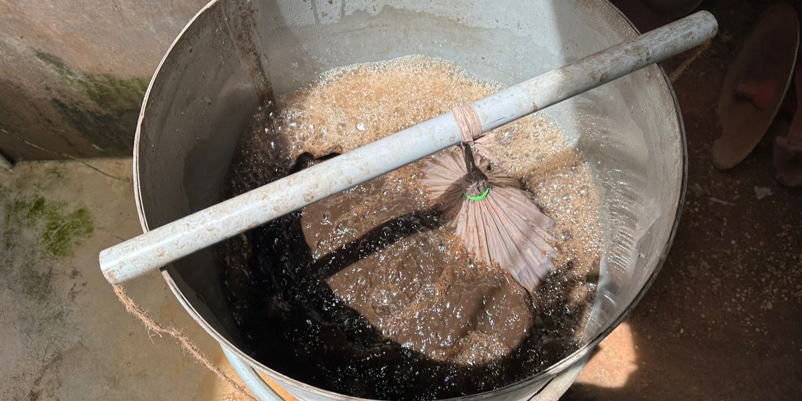 COMPOST TEA: A Natural Probiotic for Soil and Plants
