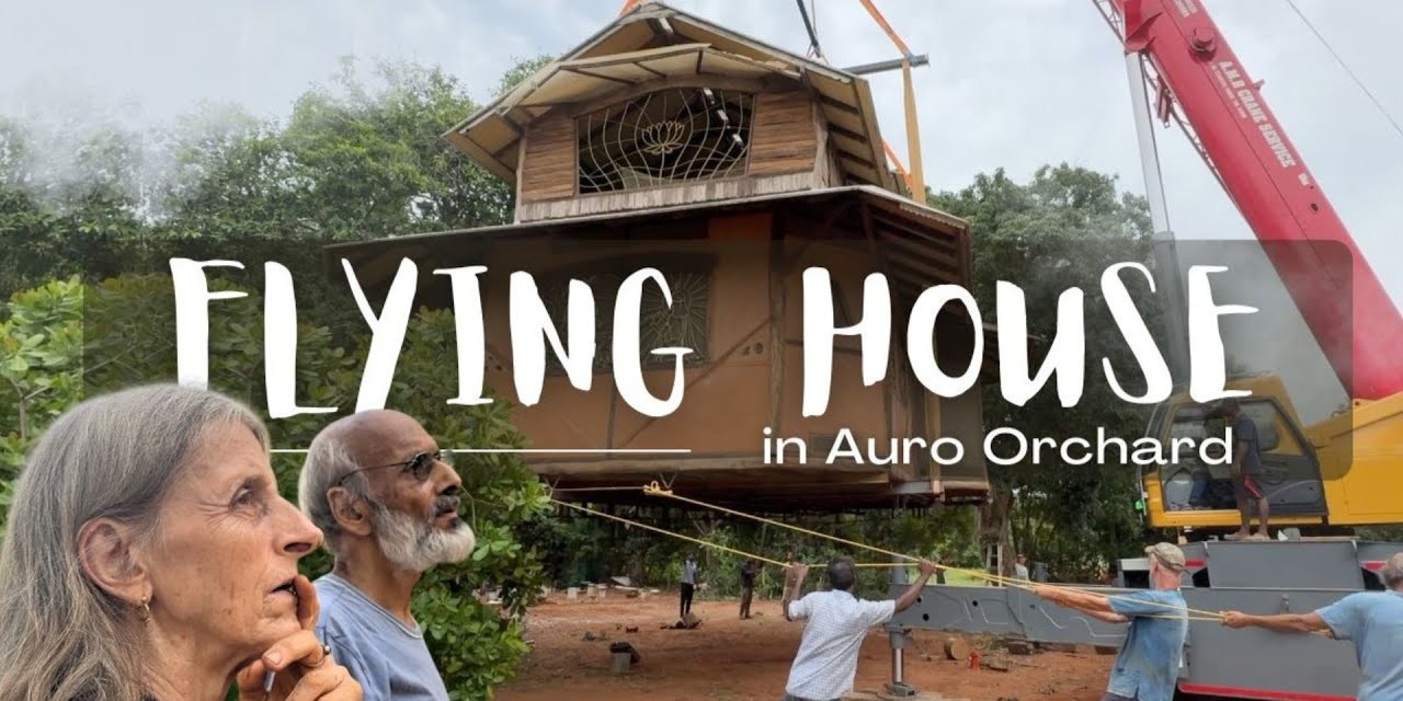 The Flying Houseㅤㅤㅤㅤㅤㅤㅤㅤㅤㅤㅤ