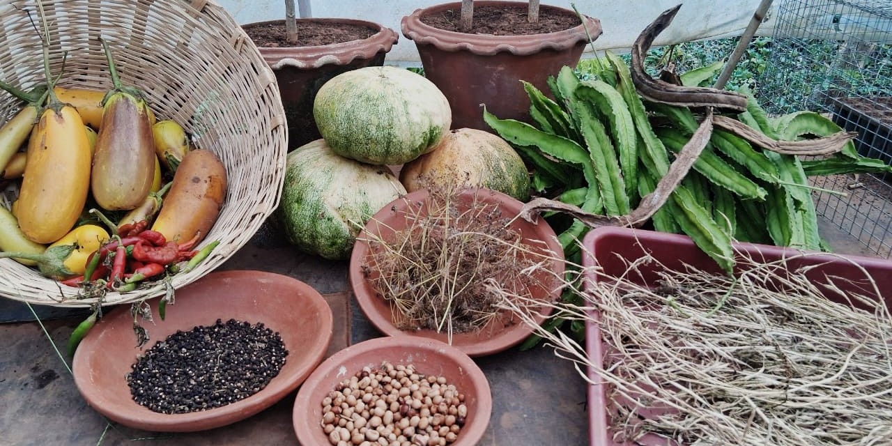 Monthly Updatesㅤㅤㅤㅤㅤㅤㅤㅤ