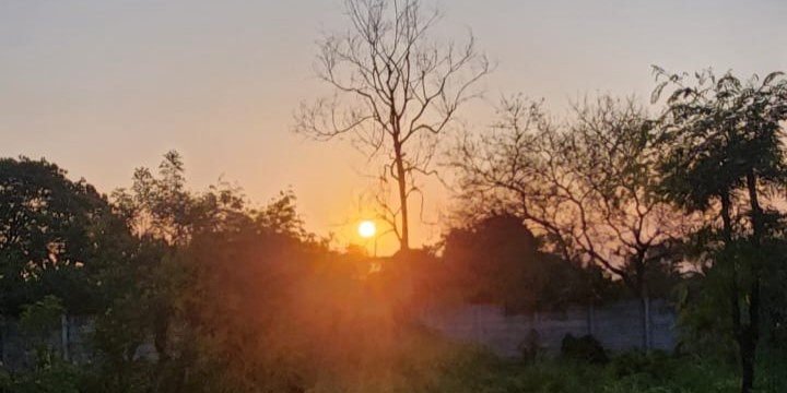 Eating With the Daylightㅤㅤㅤㅤㅤ