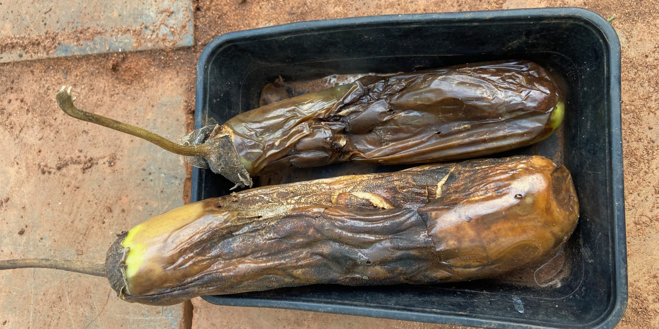 Food Sovereignty and Seeds of AuroOrchard