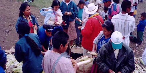 Nasa Tul: An indigenous perspective…